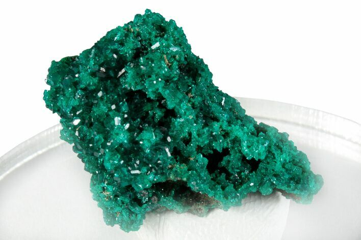 Sparkling Dioptase Crystal Cluster - N'tola Mine, Congo #256937